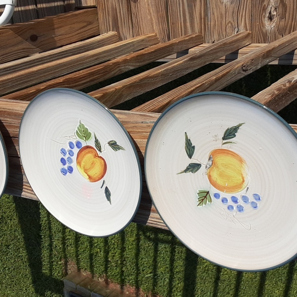 Set of 4 Amcrest stoneware oven and detergent safe plates. The orchard edition